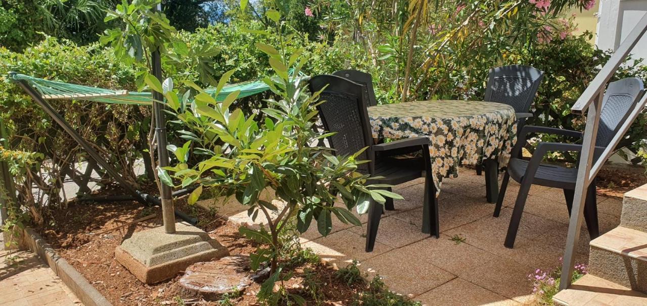 Apartmani Sonia نجيفيش المظهر الخارجي الصورة