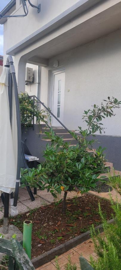 Apartmani Sonia نجيفيش المظهر الخارجي الصورة
